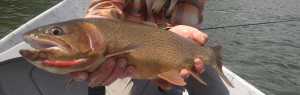 jackson-hole-fly-fishing-school-trout