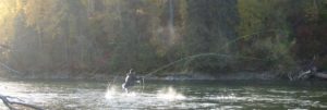 Jackson Hole Fly Fishing Lessons