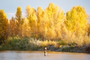 Fly Fishing in the Fall