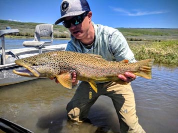 About Jackson Hole Fly Fishing School - Brian Shott – General Manager